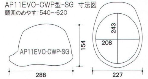 ワールドマスト　ヘルメット AP11EVO-CWP-SG AP11EVO-CWP型-SG ヘルメット DIC AP11EVO-CWP型-SG（AP11-CW型HA6E-A11式）重量/395g●製品仕様●・飛来落下物・堕落時保護・通気孔付・パット付・ラチェット式最上級を超える進化へ最先端の革新的な技術を惜しみなく投入し、DIC HELMET史上最強のシリーズがさらに進化。あらゆるシーンで最高のパフォーマンスを発揮。■すべてが新発想の快適新内装システム・上下に調節可能な可変式アジャスタは、より快適なサポート位置で確実なホールド感を得られます。・可変式アジャスターにロック機能を新搭載。快適な位置に固定することによりホールド感・安定感が向上。（特許出願中）■より快適な被り心地新構造ハンモックを採用■独自の開発技術で、大幅な軽量化シールド機構を全面刷新、帽体も肉厚などを徹底的に見直し、強度を落とすことなく大幅な軽量化を実現しました。※スケルトングリーン以外の特別カラーをご希望の場合、一定数以上のご注文に限り、別注にて承ります。（一部専売カラーは対応できません。）※この商品はご注文後のキャンセル、返品及び交換は出来ませんのでご注意下さい。※なお、この商品のお支払方法は、先振込（代金引換以外）にて承り、ご入金確認後の手配となります。 サイズ／スペック